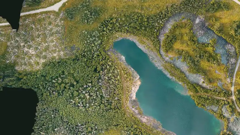 Orthomosaïque ~400 ha · Champneuf