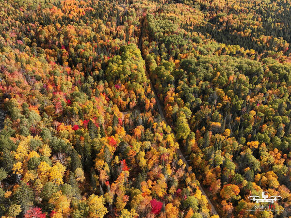 Forêt d'automne · mont Chaudron